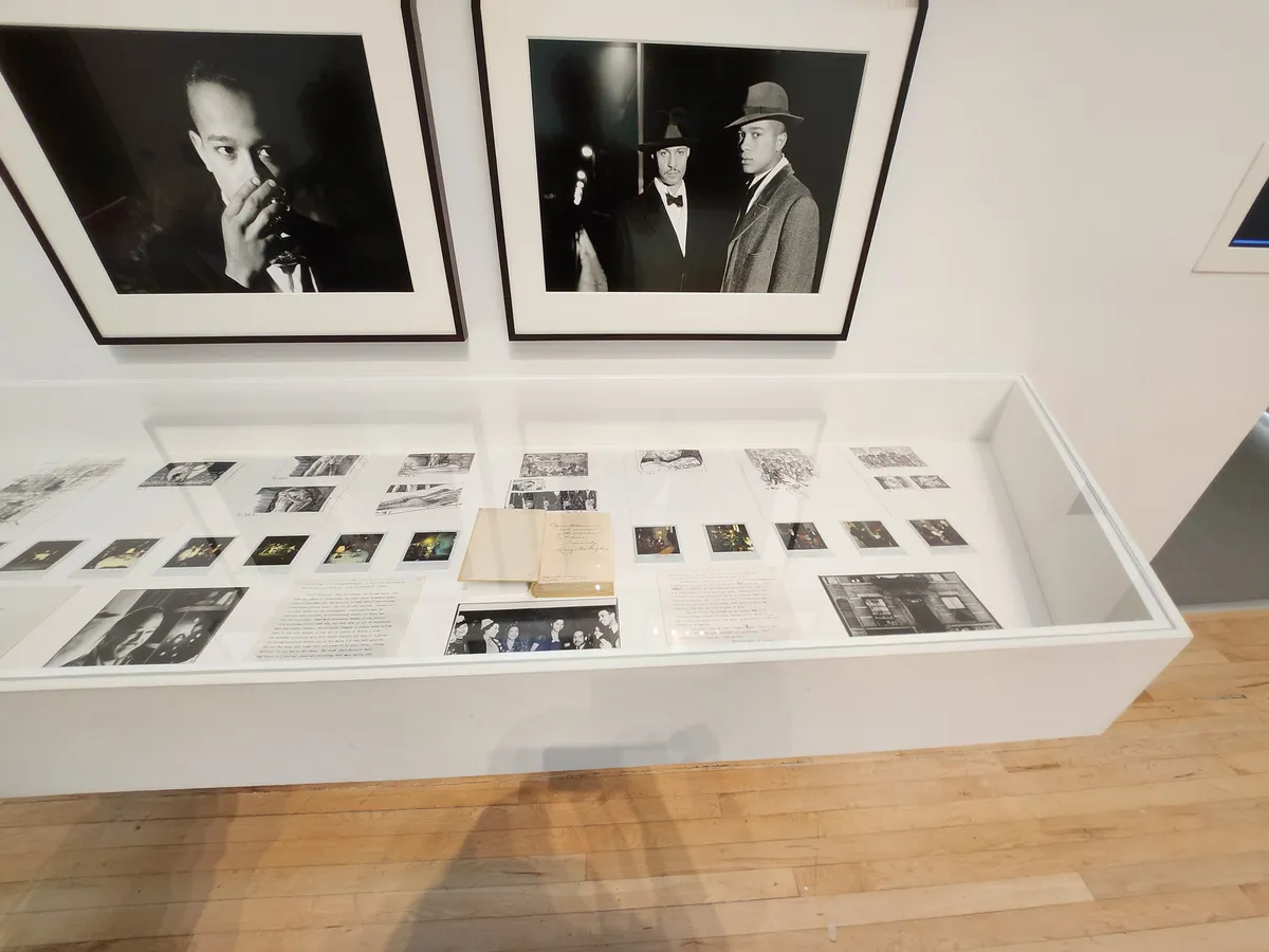 Isaac Julien Gallery Image 15